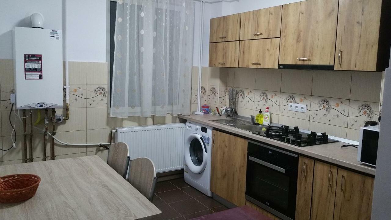 Apartament Lavinia Călimăneşti Esterno foto